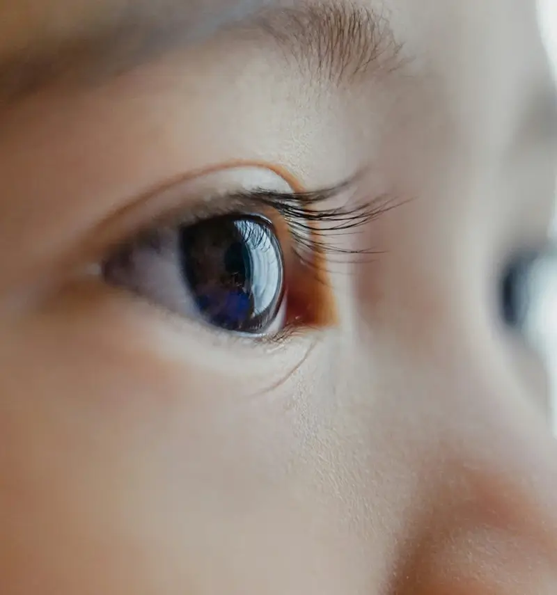 Close up of child's brown eye