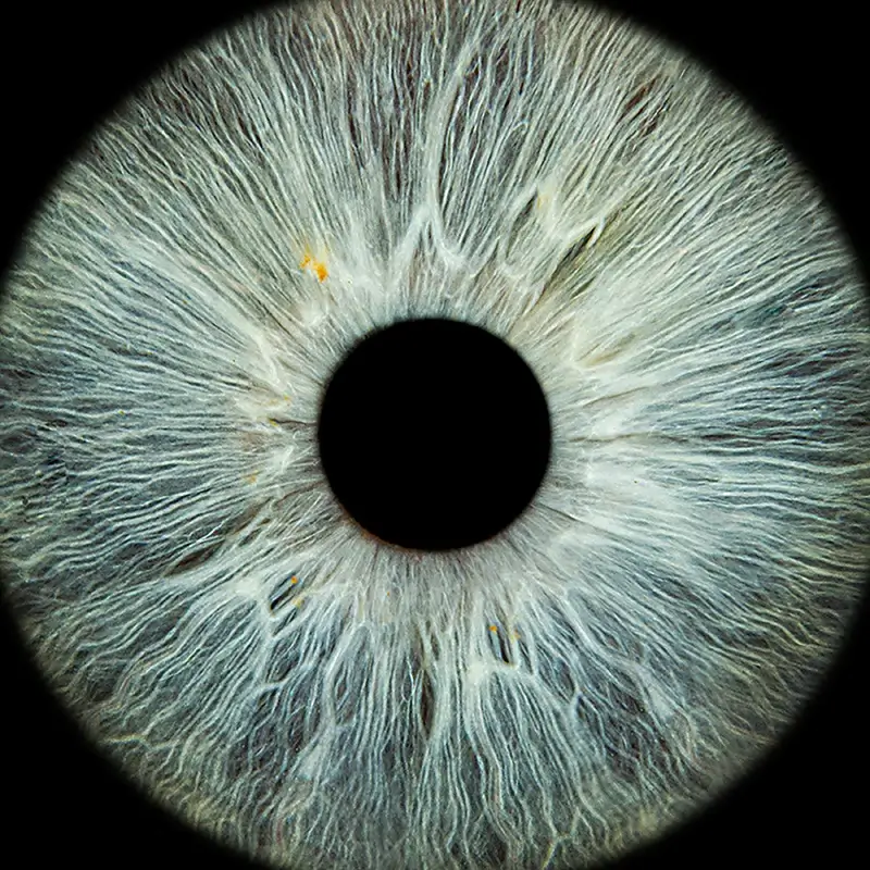 Close up of blue-green iris