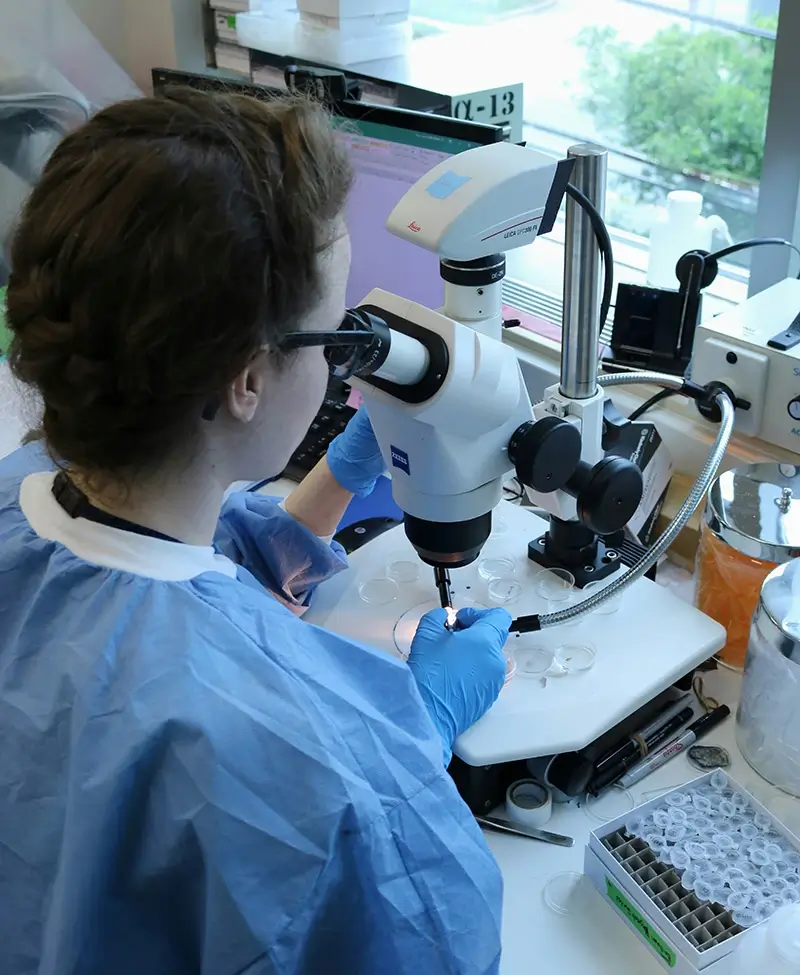 Woman with microscope