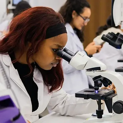 A researcher looks through a microscope