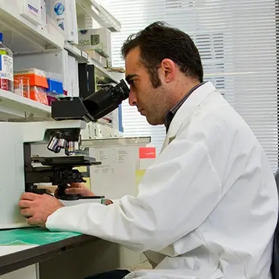 A researcher looks through a microscope