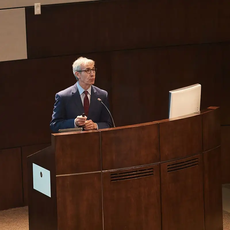 Speaker during presentation